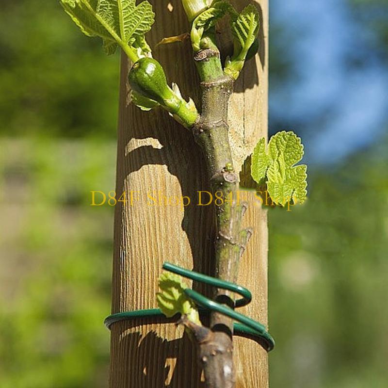 Garden Wire Twist Tie - D84F 2.5mmx10m 녹색 소프트 트위스트 타이