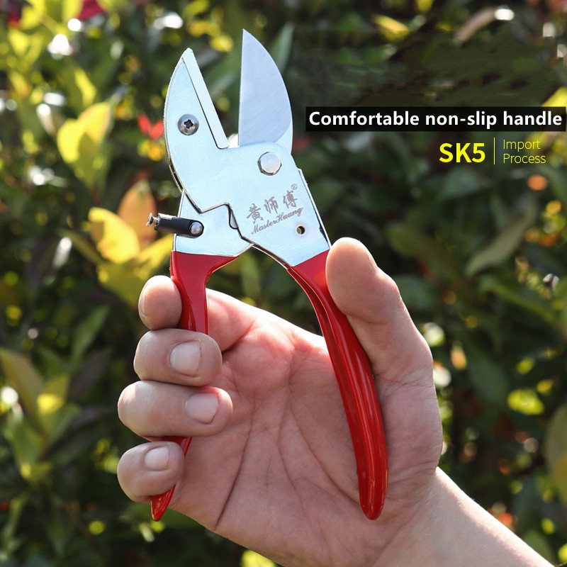 Bonsai Tool Set - SK5 스틸 수동 정원 전정 가위,