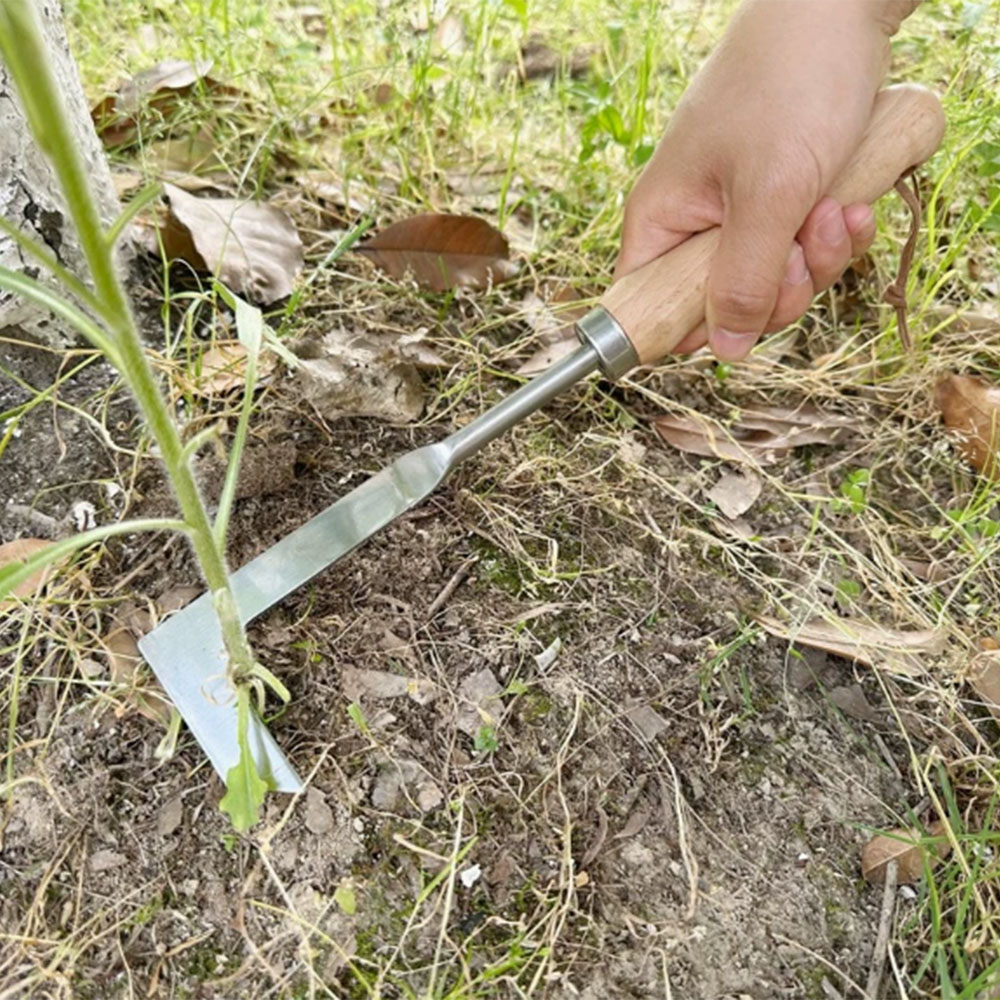 스테인리스 스틸 틈새 제초 도구, 다기능 정원용 수공구 - Gardening Hand Tools Yard 리뷰 및 가격