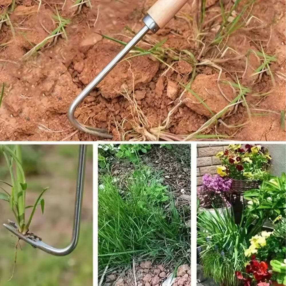 스테인리스 스틸 틈새 제초 도구, 다기능 정원용 수공구 - Gardening Hand Tools Yard 리뷰 및 가격