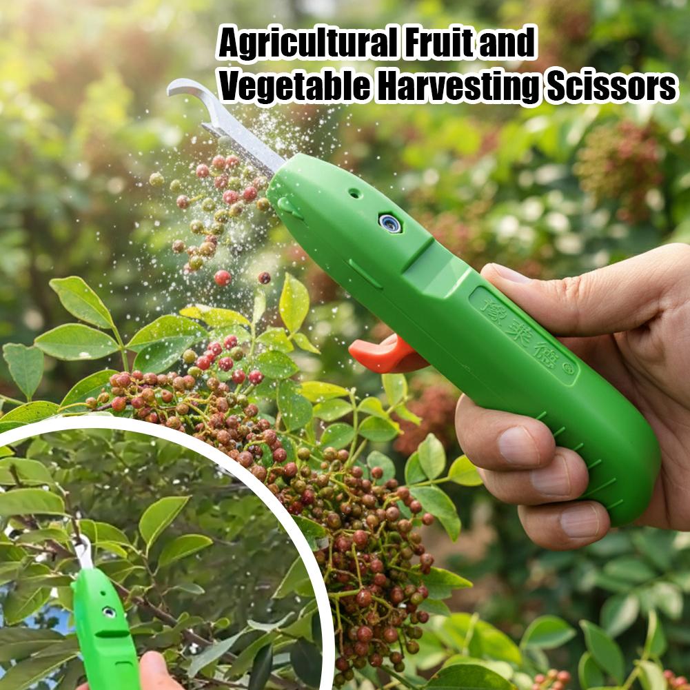 과일 및 채소 수확용 가위, 정원용 전정 가위, 곡선형 - Gardening Tools Usa 리뷰 및 가격