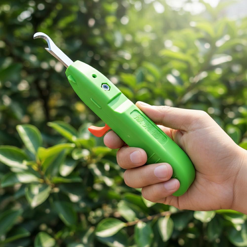 과일 및 채소 수확용 가위, 정원용 전정 가위, 곡선형 - Gardening Tools Usa 리뷰 및 가격