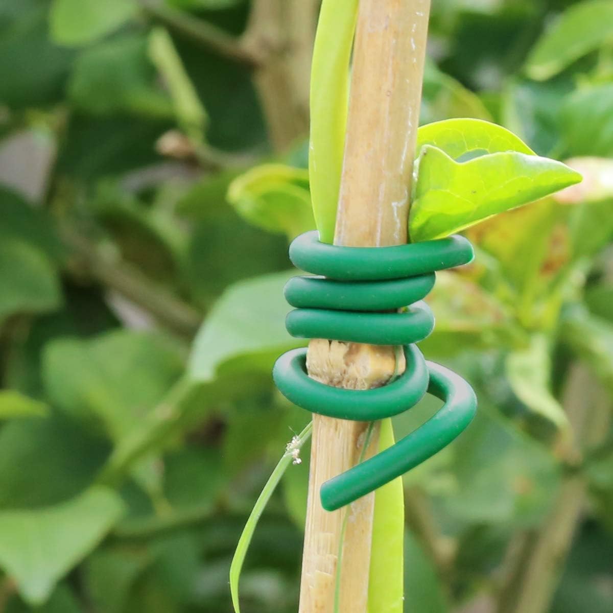 정원 식물 등반용 고무끈 녹색 고무 트위스트 케이블 타 - Garden Wire Twist Tie 리뷰 및 가격