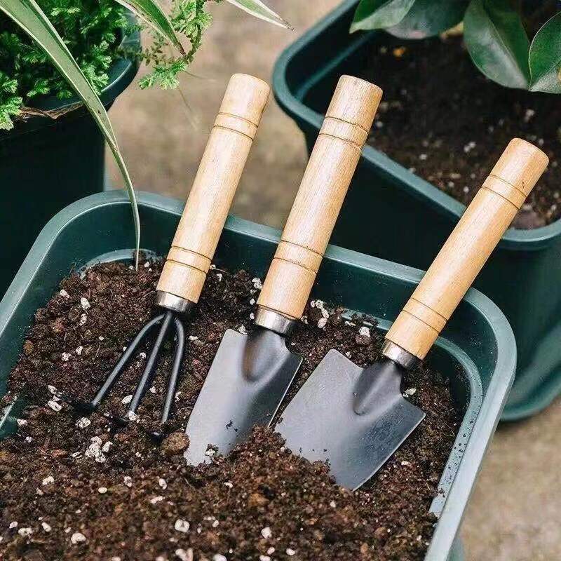 3PC/1세트 미니 원예 도구 세트 휴대용 소형 원예  - Gardening Tools Usa 리뷰 및 가격