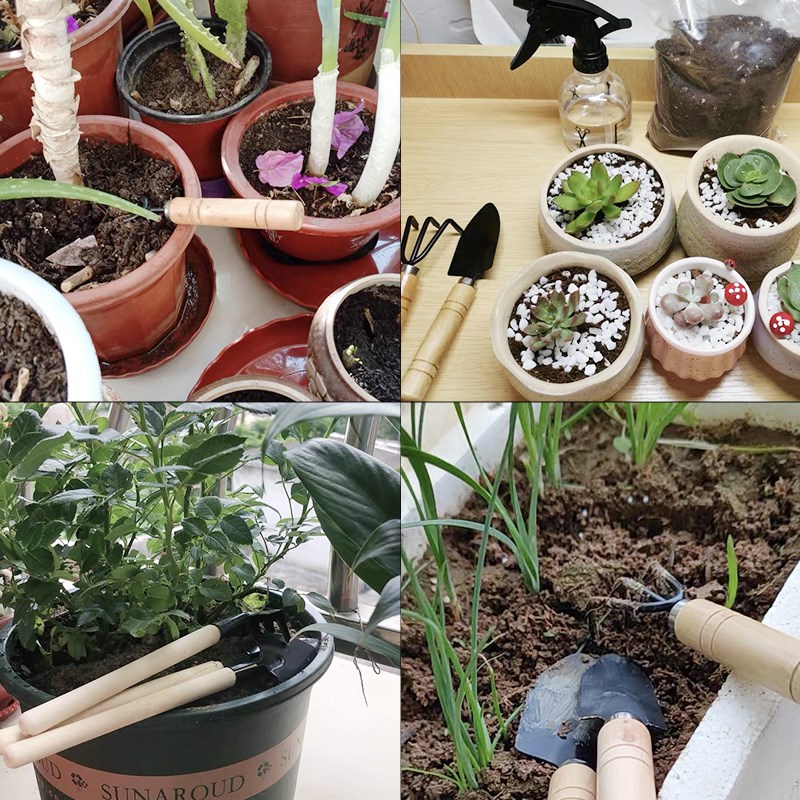 3PC/1세트 미니 원예 도구 세트 휴대용 소형 원예  - Gardening Tools Usa 리뷰 및 가격