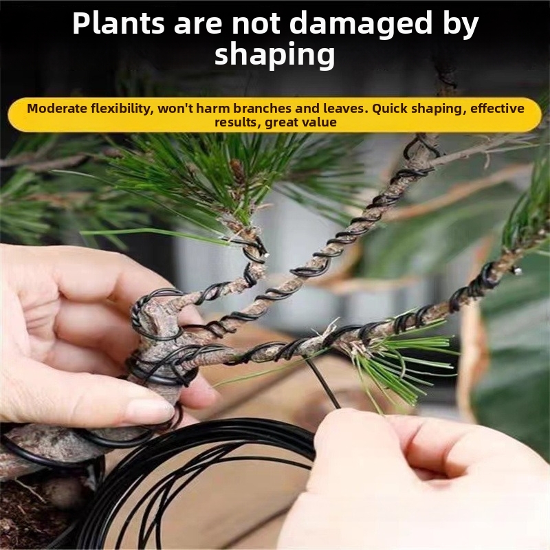 1.5MM 분재 와이어 알루미늄 분재 훈련용 와이어 모 - Gardening Tools For Home 리뷰 및 가격