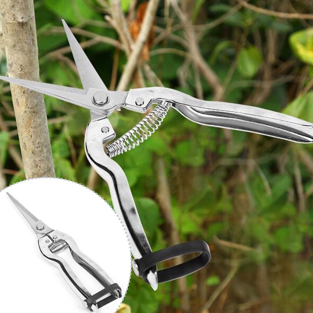 가위형 전정기, 장미 정원 가꾸기, 식물 손질 및 과일 - Gardening Hand Tools Yard 리뷰 및 가격